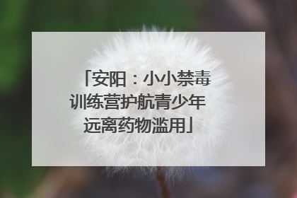 安阳：小小禁毒训练营护航青少年远离药物滥用