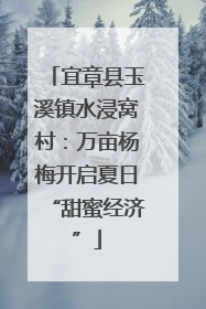 宜章县玉溪镇水浸窝村：万亩杨梅开启夏日“甜蜜经济”