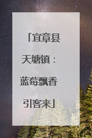 宜章县天塘镇：蓝莓飘香引客来