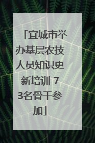 宜城市举办基层农技人员知识更新培训 73名骨干参加