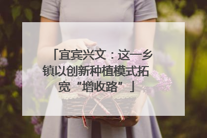 宜宾兴文：这一乡镇以创新种植模式拓宽“增收路”