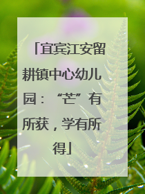 宜宾江安留耕镇中心幼儿园：“芒”有所获，学有所得