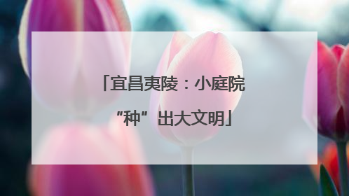 宜昌夷陵：小庭院“种”出大文明