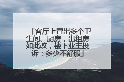 客厅上冒出多个卫生间、厨房，出租房如此改，楼下业主投诉：多少不舒服