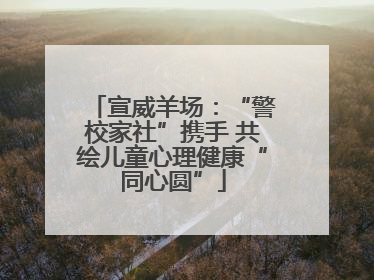 宣威羊场：“警校家社”携手 共绘儿童心理健康“同心圆”