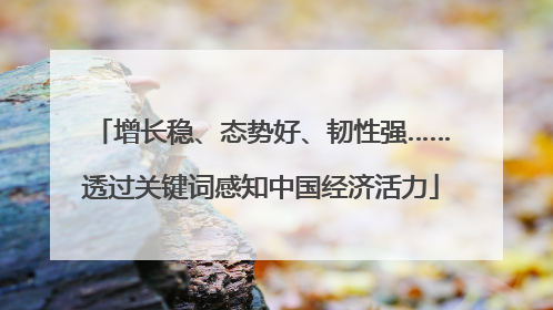 增长稳、态势好、韧性强……透过关键词感知中国经济活力