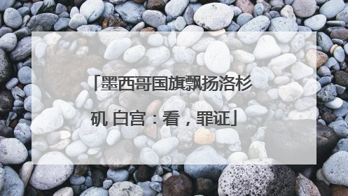 墨西哥国旗飘扬洛杉矶 白宫：看，罪证
