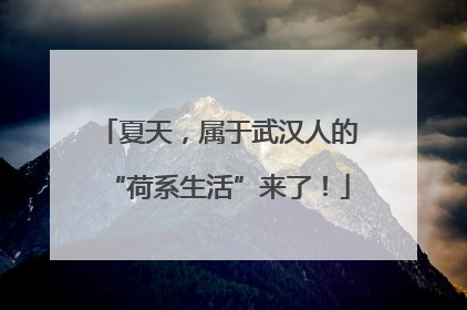 夏天，属于武汉人的“荷系生活”来了！