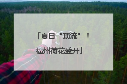 夏日“顶流”！福州荷花盛开