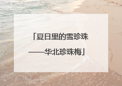 夏日里的雪珍珠——华北珍珠梅