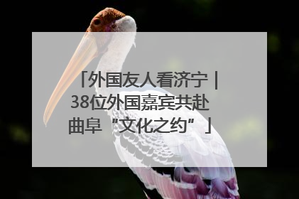 外国友人看济宁｜38位外国嘉宾共赴曲阜“文化之约”