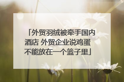 外贸羽绒被牵手国内酒店 外贸企业说鸡蛋不能放在一个篮子里