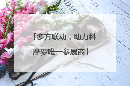 多方联动，助力科摩罗唯一参展商