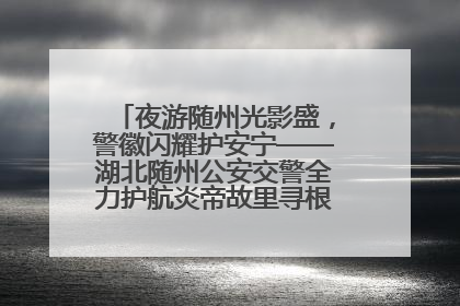 夜游随州光影盛，警徽闪耀护安宁——湖北随州公安交警全力护航炎帝故里寻根节夜游活动侧记
