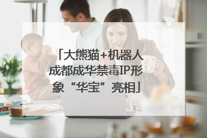 大熊猫+机器人 成都成华禁毒IP形象“华宝”亮相