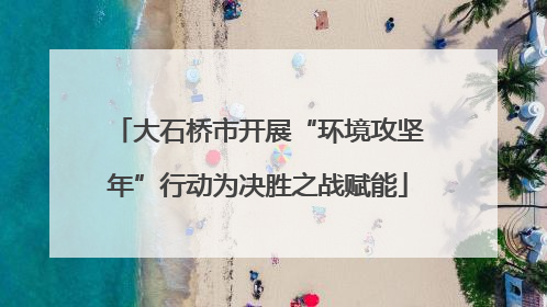 大石桥市开展“环境攻坚年”行动为决胜之战赋能