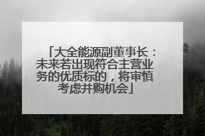 大全能源副董事长：未来若出现符合主营业务的优质标的，将审慎考虑并购机会