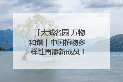 大城名园 万物和谐｜中国植物多样性再添新成员！它只在西藏墨脱