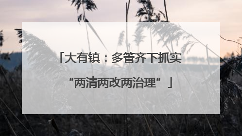 大有镇：多管齐下抓实“两清两改两治理”