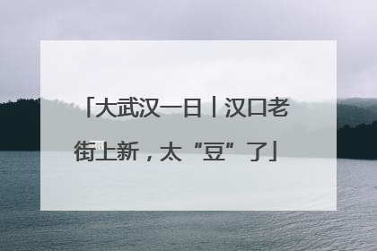 大武汉一日︱汉口老街上新，太“豆”了