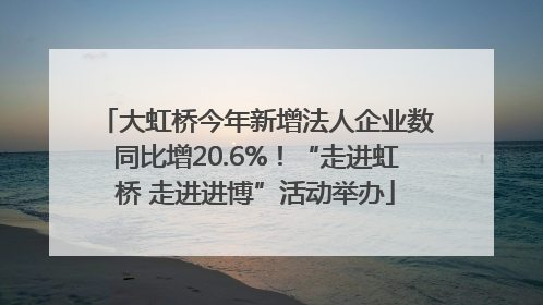 大虹桥今年新增法人企业数同比增20.6%！“走进虹桥 走进进博”活动举办