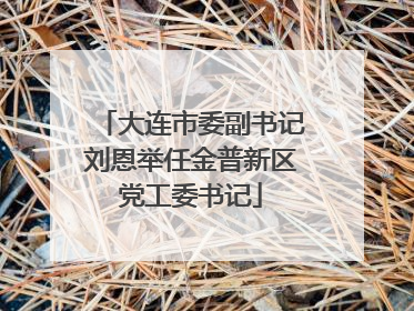 大连市委副书记刘恩举任金普新区党工委书记