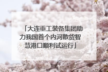 大连重工装备集团助力我国首个内河散货智慧港口顺利试运行
