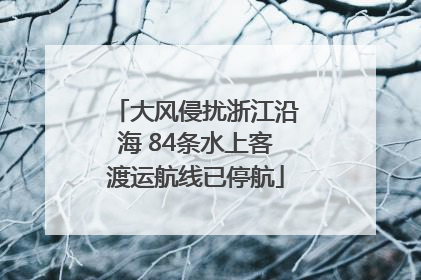 大风侵扰浙江沿海 84条水上客渡运航线已停航