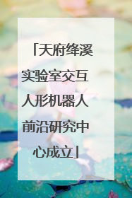 天府绛溪实验室交互人形机器人前沿研究中心成立