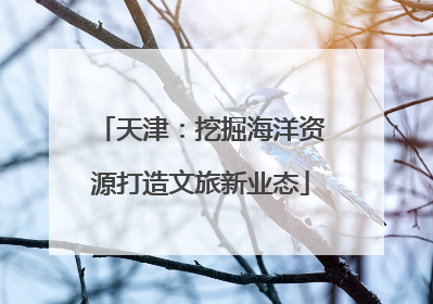 天津：挖掘海洋资源打造文旅新业态
