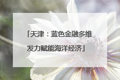 天津：蓝色金融多维发力赋能海洋经济