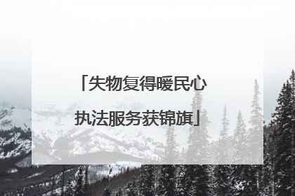 失物复得暖民心 执法服务获锦旗