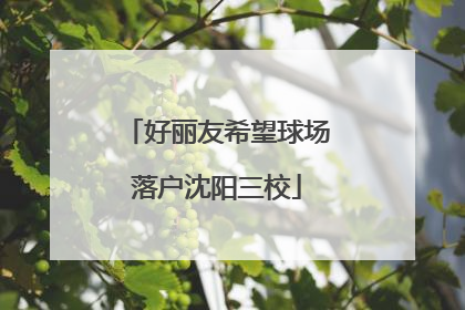 好丽友希望球场落户沈阳三校