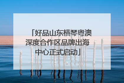 好品山东横琴粤澳深度合作区品牌出海中心正式启动