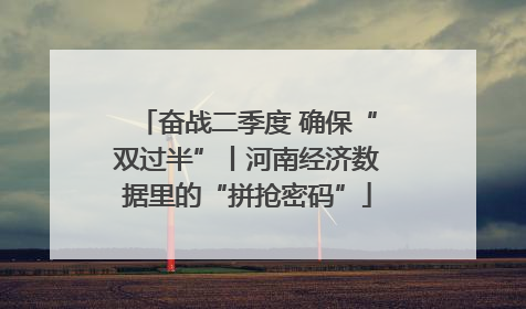 奋战二季度 确保“双过半”丨河南经济数据里的“拼抢密码”