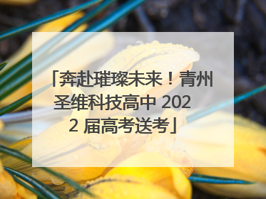 奔赴璀璨未来！青州圣维科技高中 2022 届高考送考