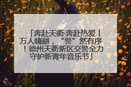 奔赴天衢·奔赴热爱丨万人嗨翻，“警”然有序！德州天衢新区交警全力守护新青年音乐节