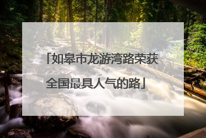 如皋市龙游湾路荣获全国最具人气的路