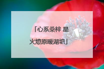 心系桑梓 星火燎原暖湖塘