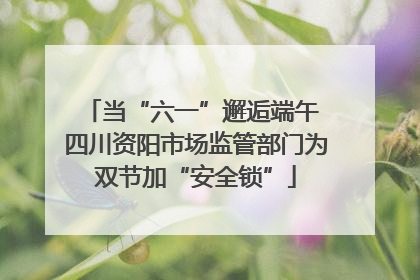 当“六一”邂逅端午 四川资阳市场监管部门为双节加“安全锁”