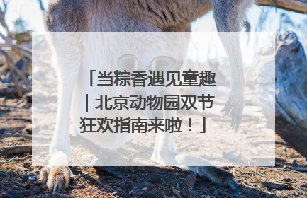 当粽香遇见童趣｜北京动物园双节狂欢指南来啦！