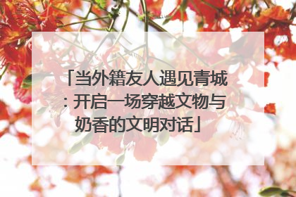 当外籍友人遇见青城：开启一场穿越文物与奶香的文明对话