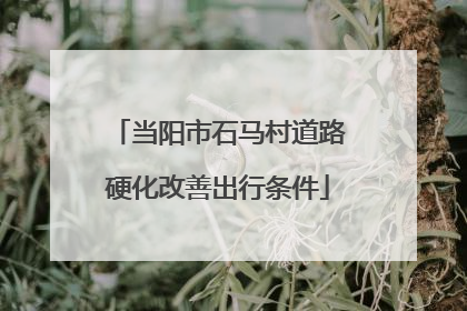 当阳市石马村道路硬化改善出行条件