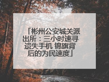 彬州公安城关派出所：三小时速寻遗失手机 锦旗背后的为民速度