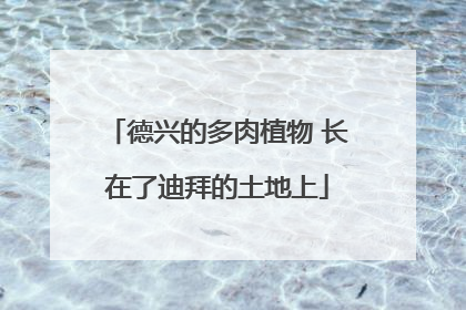 德兴的多肉植物 长在了迪拜的土地上