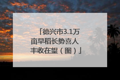 德兴市3.1万亩早稻长势喜人 丰收在望（图）