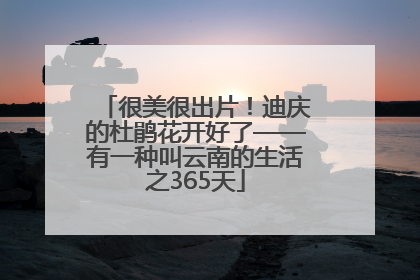很美很出片！迪庆的杜鹃花开好了——有一种叫云南的生活之365天