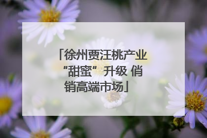 徐州贾汪桃产业“甜蜜”升级 俏销高端市场