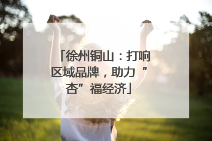 徐州铜山：打响区域品牌，助力“杏”福经济
