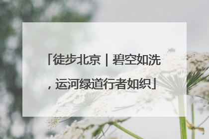 徒步北京｜碧空如洗，运河绿道行者如织